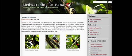 PTYBirds.com  Blog with pictures of birds from Panama