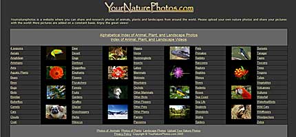 Your Nature Photos of Animals Plants and Landscapes